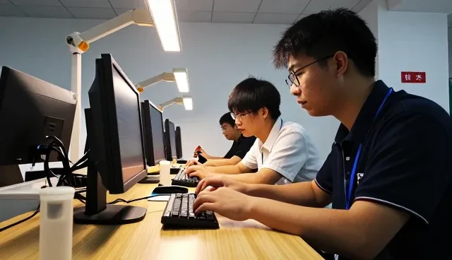 应用开发数字化发展与技术服务应用分析