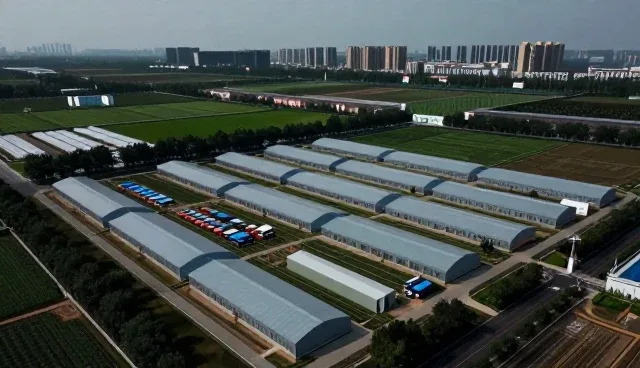 技术驱动业务转型的关键路径